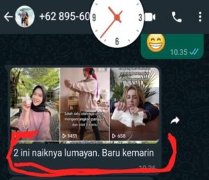 les-internet-marketing -jualan-online-solo