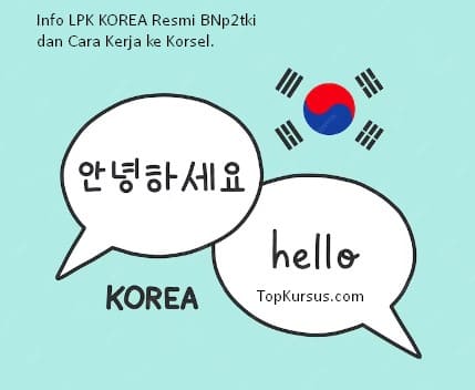 LPK-Korea-Resmi-Bnp2tki-Pemerintah