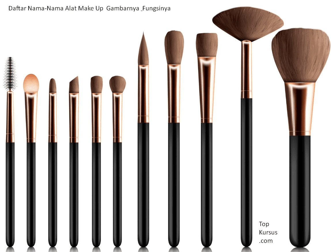 nama alat make up dan gambarnya